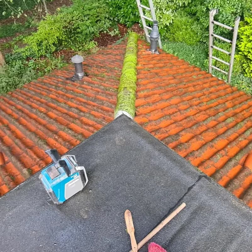 Hetzelfde pannendak na reiniging: schone oranje dakpannen met alleen nog mos op de nokvorsten.
